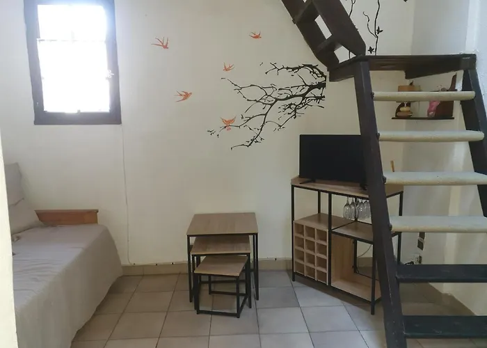 Avec Mezzanine Daire Corte (Corsica)
