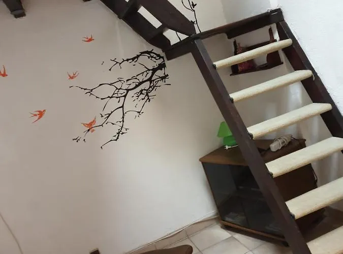 Avec Mezzanine *